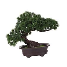 Faux pine bonsai for sale  Lathrop