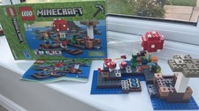 Lego minecraft 21129 for sale  CHELMSFORD