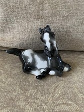 cheval for sale cheval for sale SOLIHULL