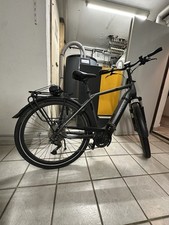 Pegasus strong evo gebraucht kaufen Pegasus strong evo gebraucht kaufen  Engstingen