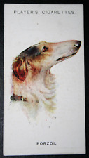 Borzoi russian wolfhound for sale  DERBY