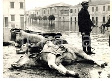 1966 alluvione porto usato 1966 alluvione porto usato  Milano