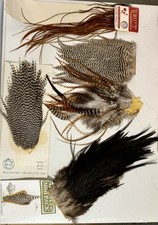 Dry fly hackle for sale  Albany