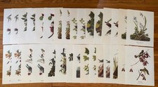 Vtg audubon best for sale  Minneapolis