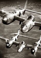 Ww2 lightning fighters for sale  Manchester Township