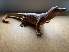 Large desert monitor for sale Large desert monitor for sale  HARROGATE