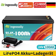 Batteria litio 100 usato  Spedire a Italy