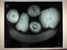 Ray radiografia arte usato  Roma