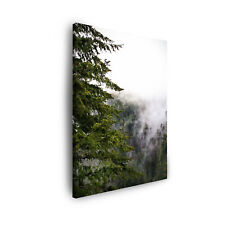 Leinwand bilder natur gebraucht kaufen  Großröhrsdorf