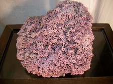 Natural pink ocean for sale  Old Town