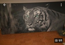 Tiger leinwandbild keilrahmen gebraucht kaufen  Heilbronn