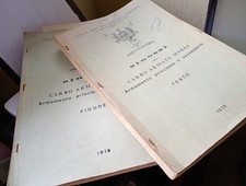 Libro carrarmato m60 usato  Modena