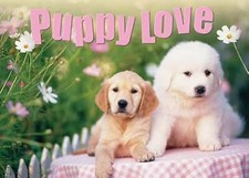 Puppy love used for sale  UK