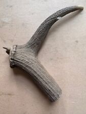Jumbo dog antler for sale  CHORLEY