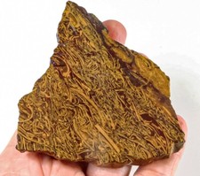 240ct natural golden for sale  Walnut
