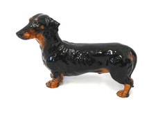 dachshunds for sale dachshunds for sale IPSWICH