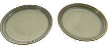 Noritake stoneware painted for sale  Phoenix