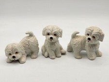 shih tzu bichon puppies for sale shih tzu bichon puppies for sale Harrisonville