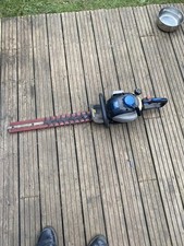 Mac allister hedge for sale  SOUTHAMPTON