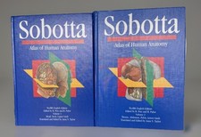 Sobotta - Atlas of Human Anatomy - 12th Edition- Hardcover - Volume 1 & 2 comprar usado Sobotta - Atlas of Human Anatomy - 12th Edition- Hardcover - Volume 1 & 2 comprar usado  Enviando para Brazil