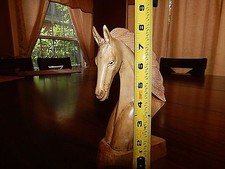 Camargue horse gardien for sale  Portland