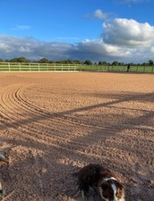 Entire ménage sale for sale  WINSFORD