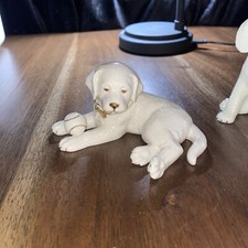 Lenox golden retriever for sale  Falkville