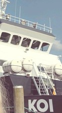 Nline ticket koi gebraucht kaufen  Flensburg