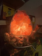 Lampada sale dell usato  Bologna