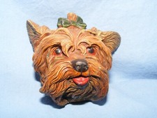 Bossons yorkshire terrier for sale  MABLETHORPE