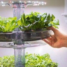 Aquatree garden atl2 for sale  Paragould