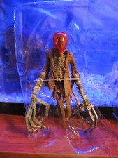 Multiverse 2021 last for sale  Provo