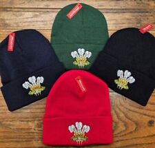 Wales rugby ski for sale  NEWPORT