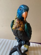 Franz bergman huge for sale  CHELTENHAM