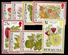 Conjuntos Bermuda NH ESTADO PERFEITO 1997-2002 SG778-890. ESCOLHA DA LISTA comprar usado Conjuntos Bermuda NH ESTADO PERFEITO 1997-2002 SG778-890. ESCOLHA DA LISTA comprar usado  Enviando para Brazil
