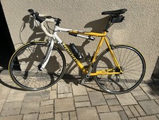 Rennrad haibike gebraucht kaufen  Pluwig