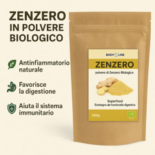 Zenzero polvere biologica usato  Italia