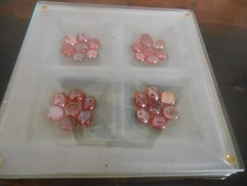 Plat d'occasion  Toulon-