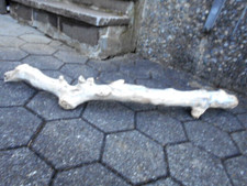 Große skulptur schwemmholz gebraucht kaufen  Riedering