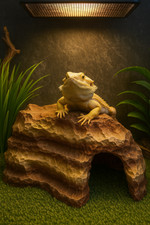 Reptile hiding cave d'occasion  Expédié en Belgium