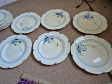 Rare dinner plates for sale  BANBURY