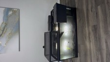 Full gallon turtle for sale  Tampa
