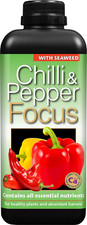 Chilli pepper focus for sale  BELVEDERE