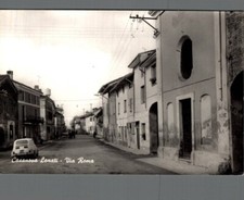 Pavia casanova lonati usato  Asti