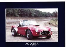 Cobra brochure 1993 for sale  WHITBY