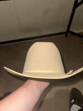 Vintage stallion cowboy for sale  San Antonio