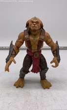 gorgonites for sale gorgonites for sale Wilkes Barre