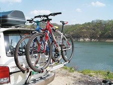 Fiamma carry bike gebraucht kaufen  Nidda