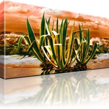 Pflanze blume meer gebraucht kaufen  Deutschland