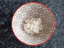 Live milk kefir for sale  BUNGAY